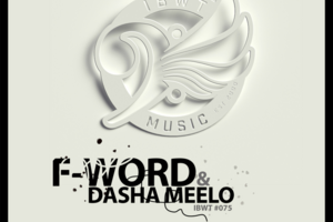 F-WORD – All I Need I Got (Pimper Funk Remix)