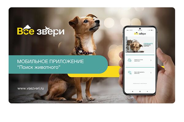 поискживотного600600.png