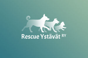Фирменный логотип приюта для собак