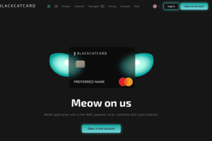 Мобильное приложение для финтех-сервиса Blackcatcard