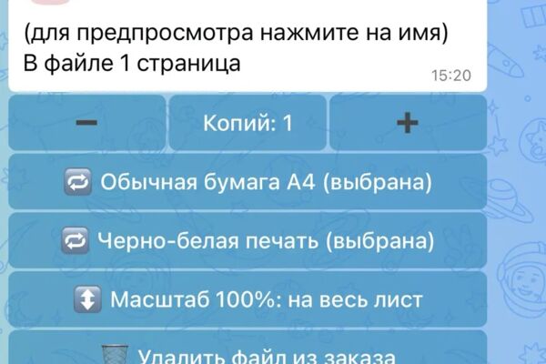 max_print_bot_1.png