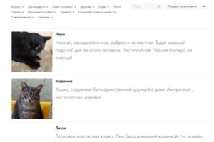 Перенос с Woocommerce на Тильда сайта Кошачего приюта Кошкин дом
