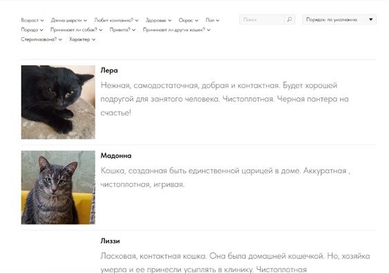 Интернет-магазин на Тильда