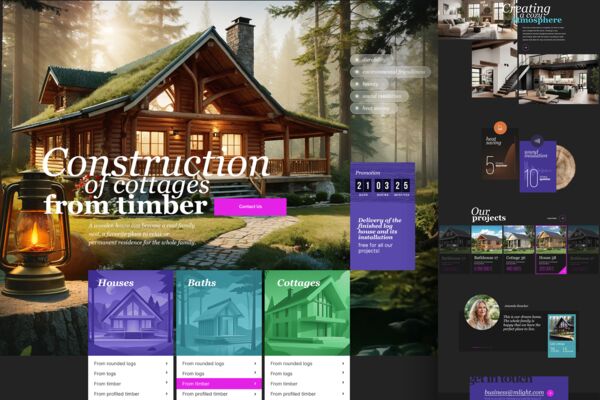 dribbble_damiradovlatova.png