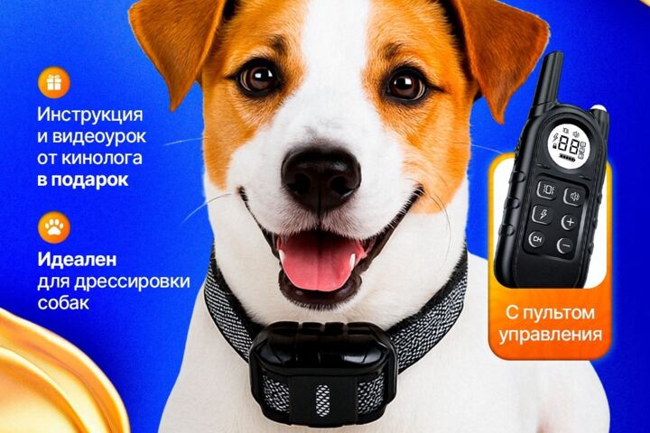 Инфографика