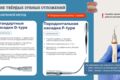 Создание инфографики для презентации на любую тему