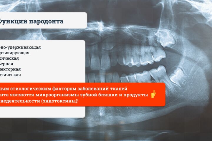Создание инфографики для презентации на любую тему - 5740224
