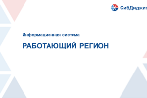Информационная система «Работающий регион»