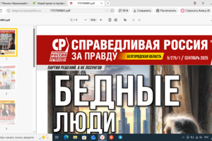 Газета,сайт и страницы в соцсетях партии Справедливая Россия. Готовил статьи социально-экономического, агитационного характера.