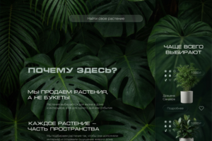 Проект интернет магазина растений -  "Между листьями"