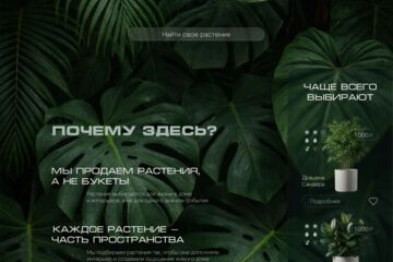 Вложение