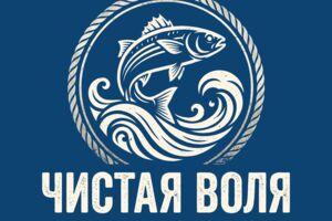 чистая_воля