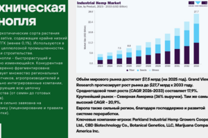Отчёт с анализом рынка технической конопли. Заказчик: Венчурный фонд "Восход"