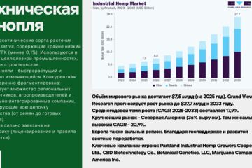 Отчёт с анализом рынка технической конопли. Заказчик: Венчурный фонд "Восход"