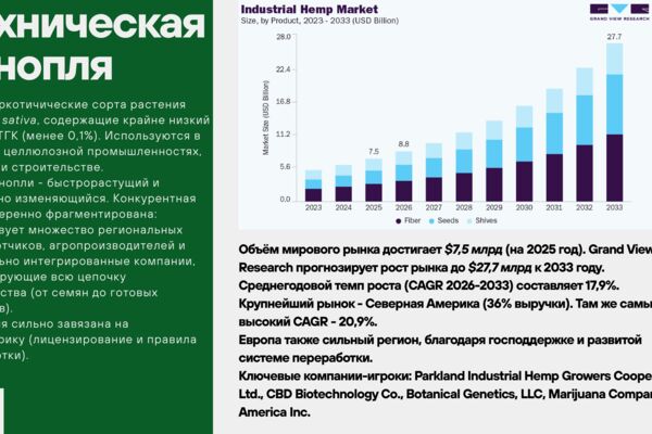 Техническая_конопля_1.jpg