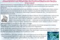 Лозунговый копирайтинг, поздравительные адреса, стихи, эссе, рассказы