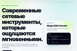 Универсальный инструмент вебмастера dn01