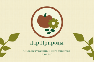 Брендбук для бренда мыла "Дар Природы"