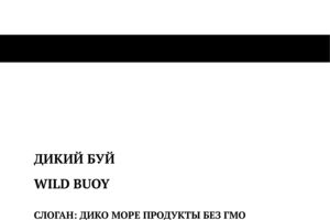 Вольный_Бурный_Свирепый_Буйный