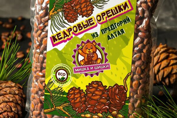 мишка.png