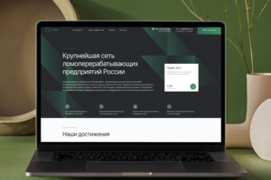 Ломоперерабатывающие предприятие