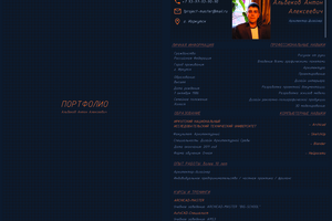 Портфолио
