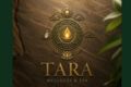 Салон БРЕНДБУК TARA Wellness & Spa
