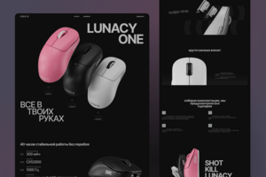 landing page для Lunacy