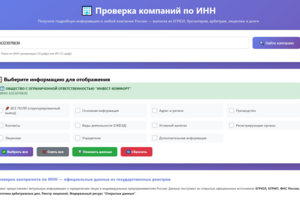 Web-приложение "Поиск информации о компании по ИНН"