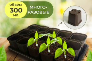 Горшки для рассады