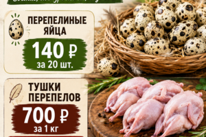 Листовки для продажи фермерских продуктов