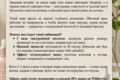грамотный копирайтинг: статьи, посты, карточки товаров, рассказы