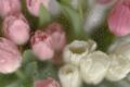 Редактирую и улучшаю тексты, делая их ясными, грамотными и удобными для чтения.