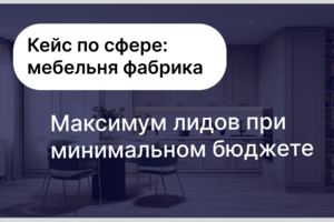 Кейс по сфере:мебельная фабрика