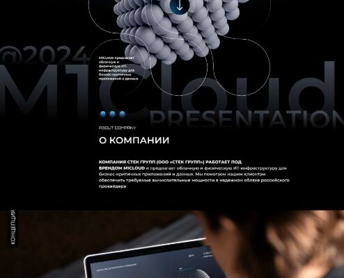 презентация ИТ-компании 24_presentation IT company 24