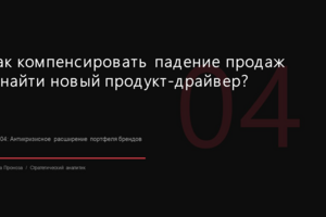 Антикризисный анализ и разработка стратегии выхода автодилера из падения прибыли на 14%