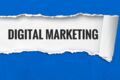 Продвижение Яндекс директ и SEO