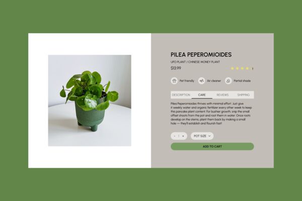 Dribbble_shot_HD_18.png