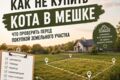 Создание постов, чек листов