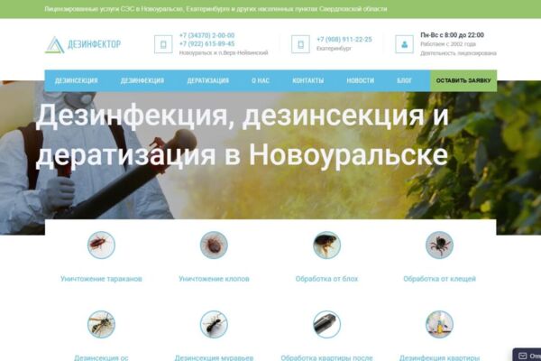 Редизайн и техническая поддержка сайта службы дезинфекции «Дезинфектор»