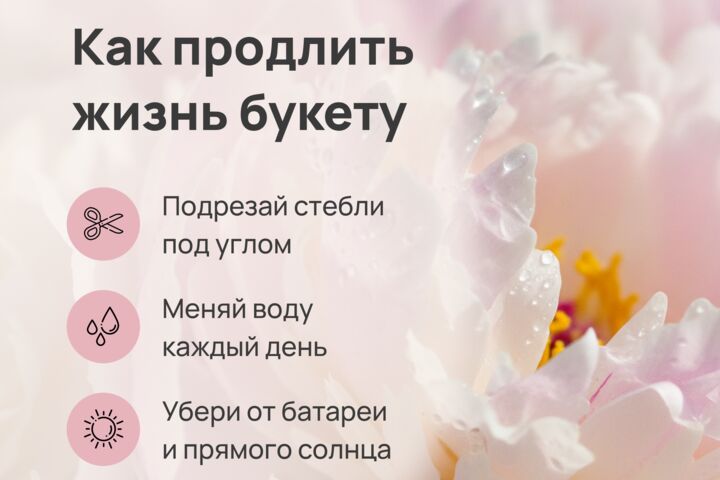 Оформление социальных сетей