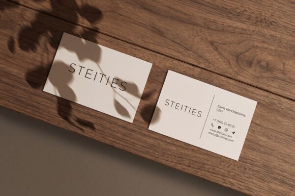 Логотип и визитка для Steities
