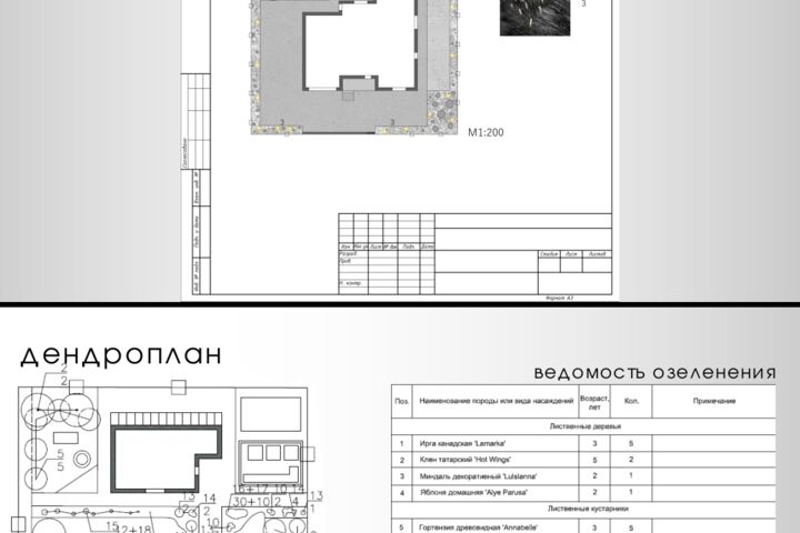 Ландшафтный дизайн