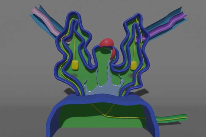 Создание 3D моделей зданий, персонажей, мебели