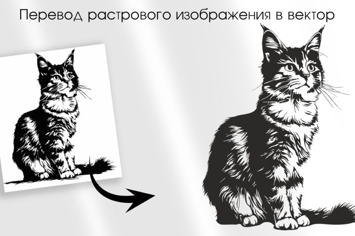 Отрисовка изображения в векторе
