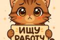 Смонтирую видео/рилс/тикток