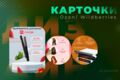 Карточки для маркетплейсов OZON и WB