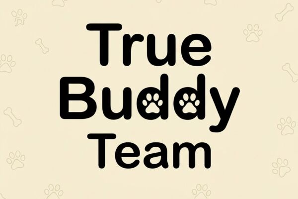 Разработка мерч-логотипа и фирменного паттерна для приюта "True Buddy Team"