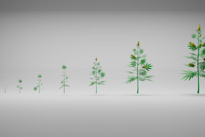 Создам любые 3D модели, пропсы.