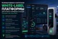 Разработка платформы для EV-зарядных станций: приложение, админ-панель, OCPP
